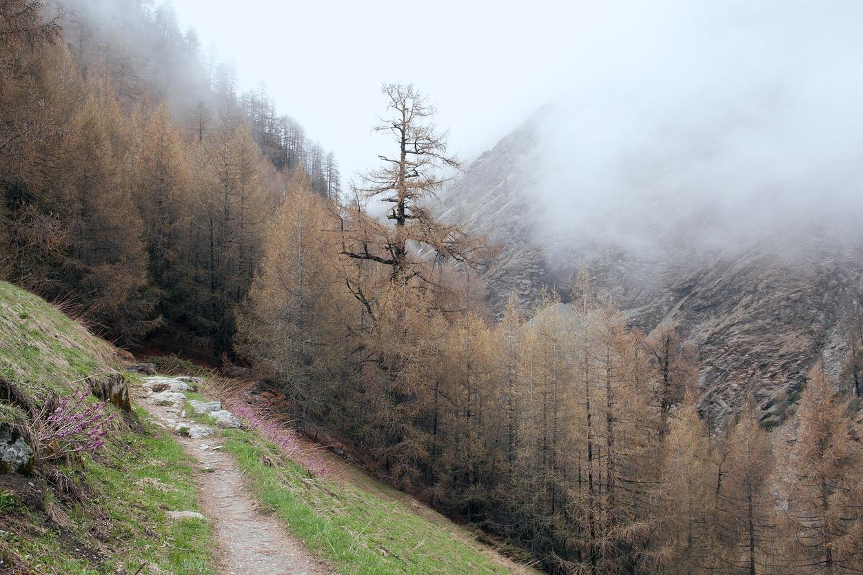 Deserunt velit enim vitae accusantium et tempore optio maiores